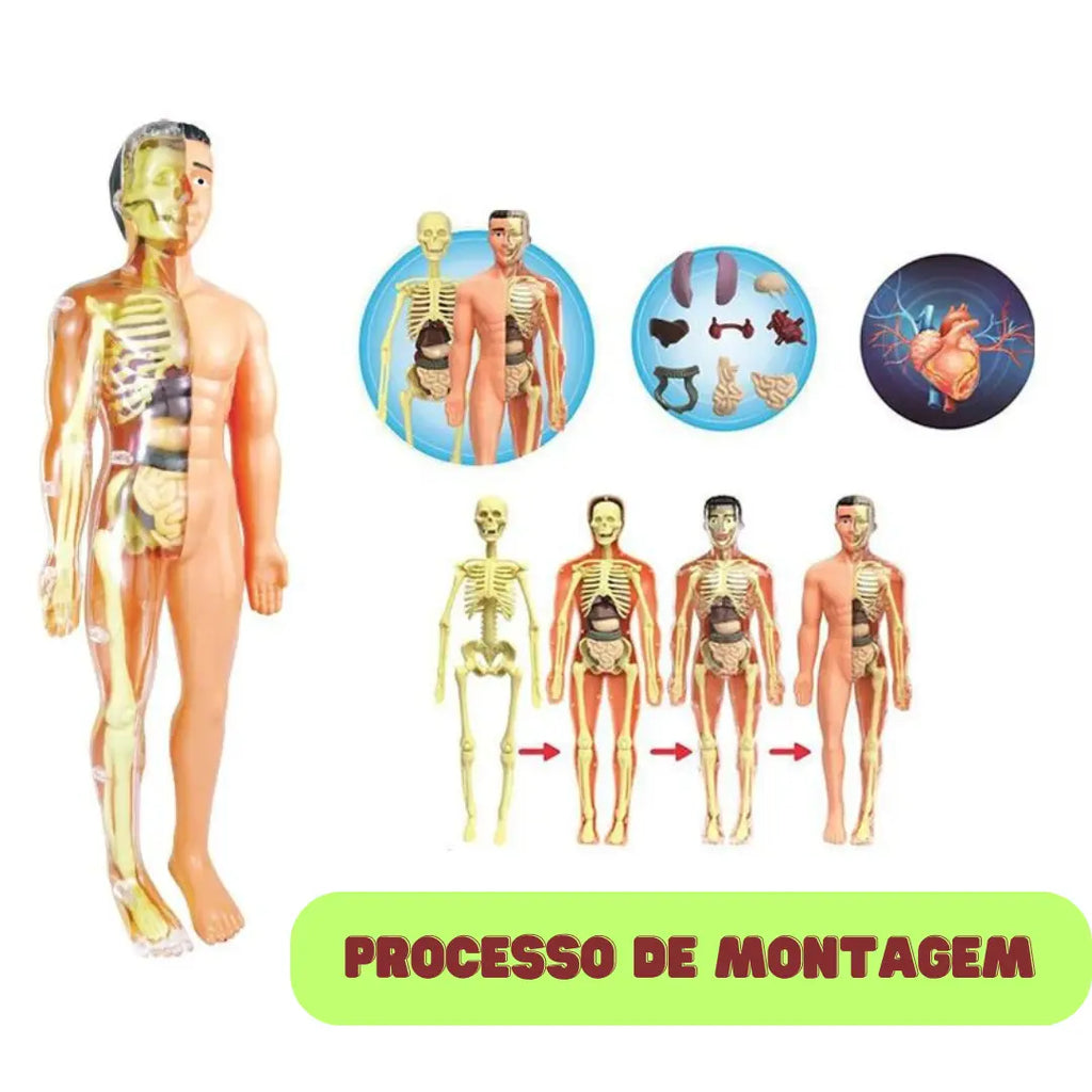 gid://shopify/MediaImage/33283815047414